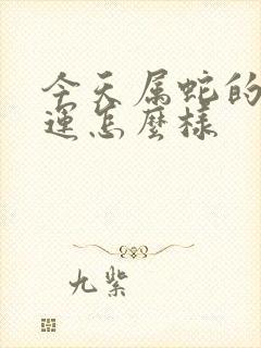 今天属蛇的偏财运怎么样