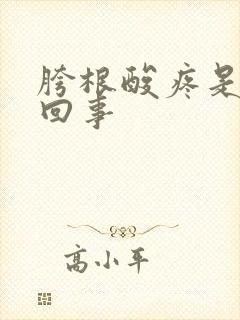 胯根酸疼是怎么回事封面