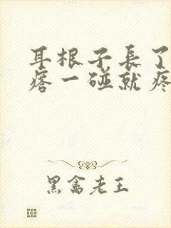 耳根子长了个疙瘩一碰就疼