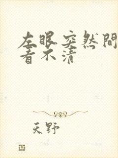 左眼突然间模糊看不清