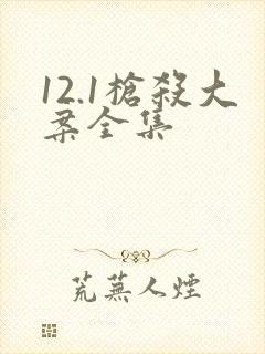 12.1枪杀大案全集