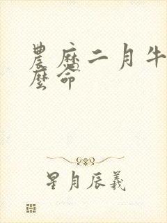 农历二月牛男什么命