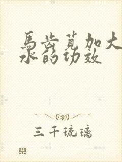 马齿苋加大蒜煮水的功效