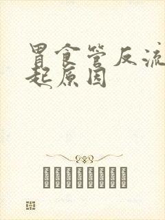 胃食管反流的引起原因