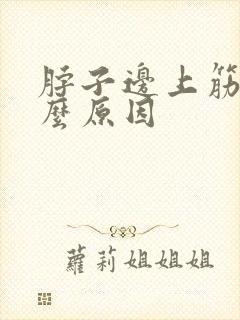 脖子边上筋疼什么原因