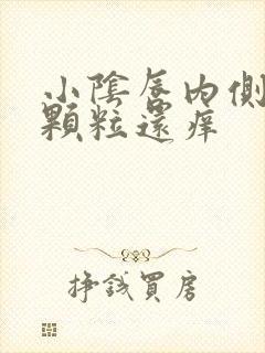 小阴唇内侧长小颗粒还痒