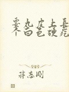 睾丸皮上长了一个白色硬疙瘩