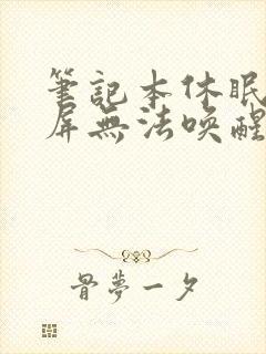 笔记本休眠后黑屏无法唤醒