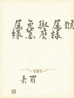 属兔与属猴的姻缘怎么样封面