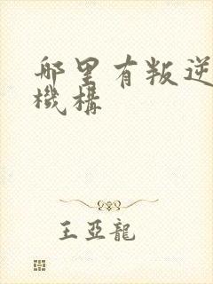 哪里有叛逆管教机构封面