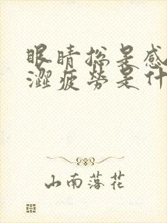 眼睛总是感觉干涩疲劳是什么原因