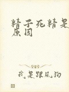 精子死精是什么原因