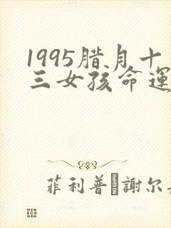 1995腊月十三女孩命运