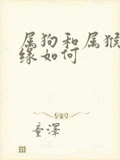 属狗和属猴的姻缘如何