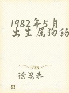 1982年5月出生属狗的命运封面