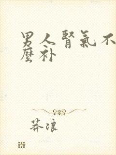 男人肾气不足怎么补封面