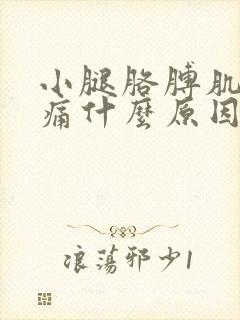 小腿胳膊肌肉酸痛什么原因