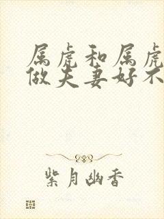 属虎和属虎相配做夫妻好不