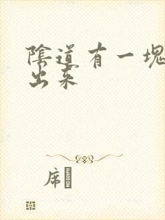 阴道有一块肉掉出来