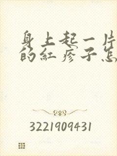 身上起一片一片的红疹子怎么回事封面