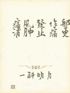 痛风发作那种药消肿止痛更快