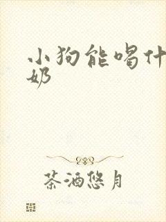 小狗能喝什么酸奶