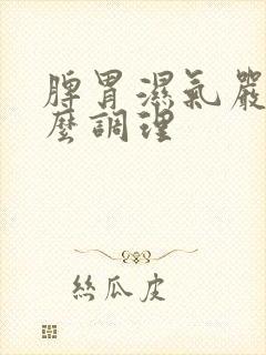 脾胃湿气严重怎么调理