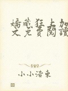 娇藏狂上加狂全文免费阅读笔趣阁封面