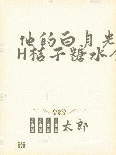 他的白月光HVH桔子糖水全文