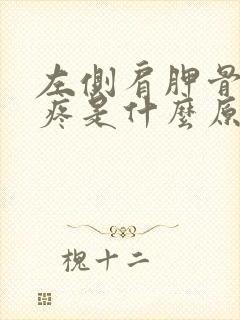 左侧肩胛骨后背疼是什么原因引起的封面