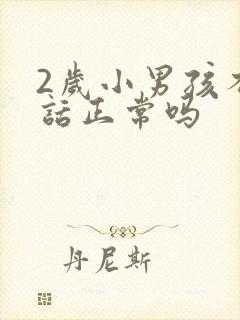 2岁小男孩不说话正常吗