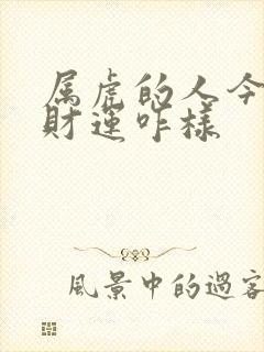 属虎的人今天偏财运咋样