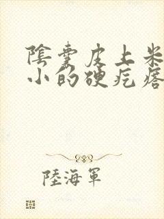 阴囊皮上米粒大小的硬疙瘩