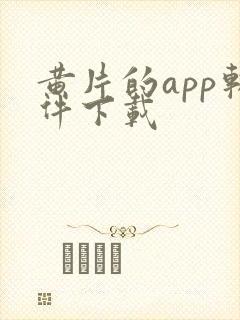 黄片的app软件下载封面