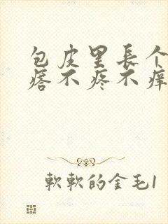 包皮里长个小疙瘩不疼不痒