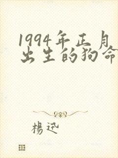 1994年正月出生的狗命运