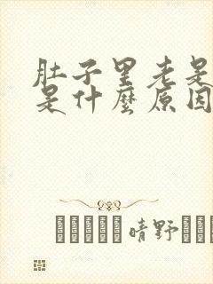 肚子里老是放屁是什么原因