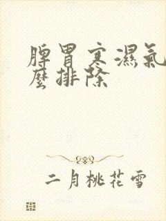 脾胃寒湿气重怎么排除