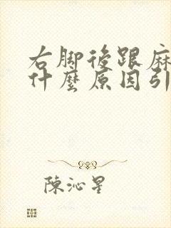 右脚后跟麻木是什么原因引起的