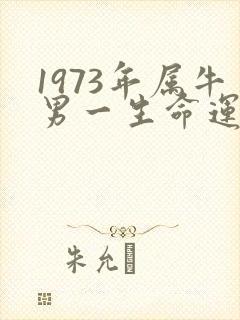 1973年属牛男一生命运