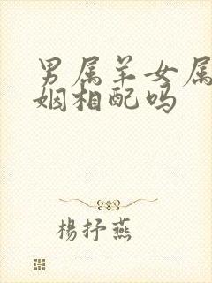 男属羊女属狗婚姻相配吗