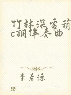 竹林深处葫芦丝c调伴奏曲