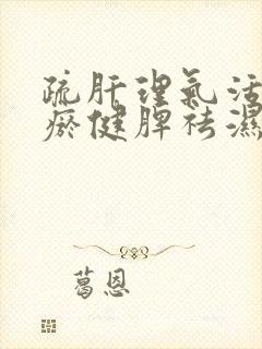 疏肝理气活血化瘀健脾祛湿封面