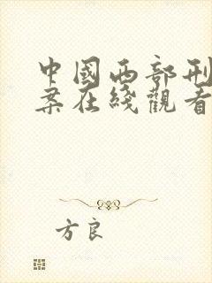 中国西部刑侦大案在线观看