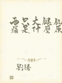 两只大腿肌肉酸痛是什么原因封面