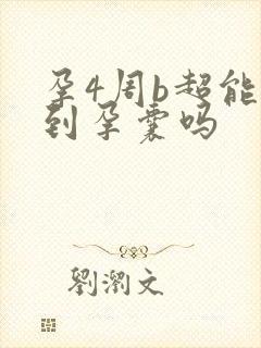 孕4周b超能看到孕囊吗