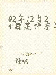 02年12月24日是什么星座