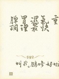 脾胃湿气重怎么调理最快