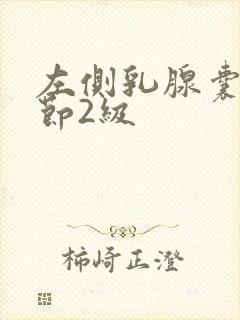 左侧乳腺囊性结节2级封面