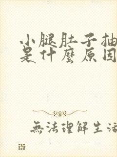 小腿肚子抽筋儿是什么原因